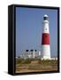 Portland Bill Lighthouse, Isle of Portland, Weymouth, Dorset, England, United Kingdom, Europe-Rainford Roy-Framed Stretched Canvas
