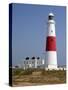 Portland Bill Lighthouse, Isle of Portland, Weymouth, Dorset, England, United Kingdom, Europe-Rainford Roy-Stretched Canvas