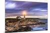 Portland Head Light in Cape Elizabeth, Maine, USA-Sean Pavone-Mounted Photographic Print