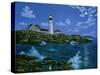 Portland Head Light-Eduardo Camoes-Stretched Canvas