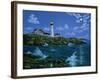 Portland Head Light-Eduardo Camoes-Framed Giclee Print