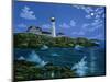 Portland Head Light-Eduardo Camoes-Mounted Premium Giclee Print