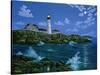 Portland Head Light-Eduardo Camoes-Stretched Canvas