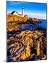 Portland Head Lighthouse, Cape Elizabeth, Maine, USA-null-Mounted Photographic Print