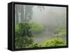 Portland Japanese Garden Fogged In: Portland, Oregon United States of America, USA-Michel Hersen-Framed Stretched Canvas