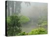 Portland Japanese Garden Fogged In: Portland, Oregon United States of America, USA-Michel Hersen-Stretched Canvas