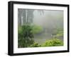 Portland Japanese Garden Fogged In: Portland, Oregon United States of America, USA-Michel Hersen-Framed Premium Photographic Print