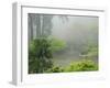 Portland Japanese Garden Fogged In: Portland, Oregon United States of America, USA-Michel Hersen-Framed Photographic Print