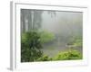 Portland Japanese Garden Fogged In: Portland, Oregon United States of America, USA-Michel Hersen-Framed Photographic Print