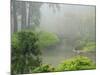 Portland Japanese Garden Fogged In: Portland, Oregon United States of America, USA-Michel Hersen-Mounted Photographic Print