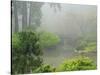 Portland Japanese Garden Fogged In: Portland, Oregon United States of America, USA-Michel Hersen-Stretched Canvas