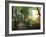 Portland Japanese Garden in Autumn, Portland, Oregon, USA-Michel Hersen-Framed Photographic Print