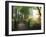 Portland Japanese Garden in Autumn, Portland, Oregon, USA-Michel Hersen-Framed Photographic Print