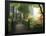 Portland Japanese Garden in Autumn, Portland, Oregon, USA-Michel Hersen-Framed Photographic Print