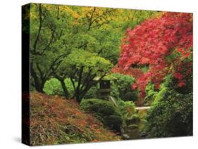 Portland Japanese Garden in Autumn, Portland, Oregon, USA-Michel Hersen-Stretched Canvas