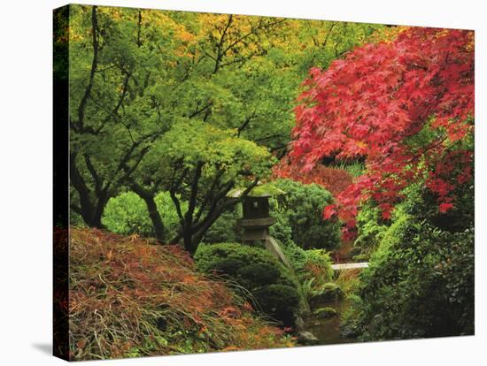 Portland Japanese Garden in Autumn, Portland, Oregon, USA-Michel Hersen-Stretched Canvas