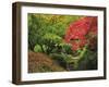 Portland Japanese Garden in Autumn, Portland, Oregon, USA-Michel Hersen-Framed Premium Photographic Print