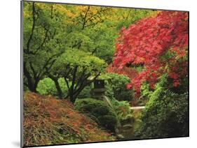 Portland Japanese Garden in Autumn, Portland, Oregon, USA-Michel Hersen-Mounted Premium Photographic Print