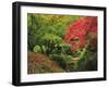 Portland Japanese Garden in Autumn, Portland, Oregon, USA-Michel Hersen-Framed Photographic Print