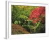 Portland Japanese Garden in Autumn, Portland, Oregon, USA-Michel Hersen-Framed Photographic Print