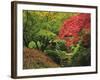 Portland Japanese Garden in Autumn, Portland, Oregon, USA-Michel Hersen-Framed Photographic Print