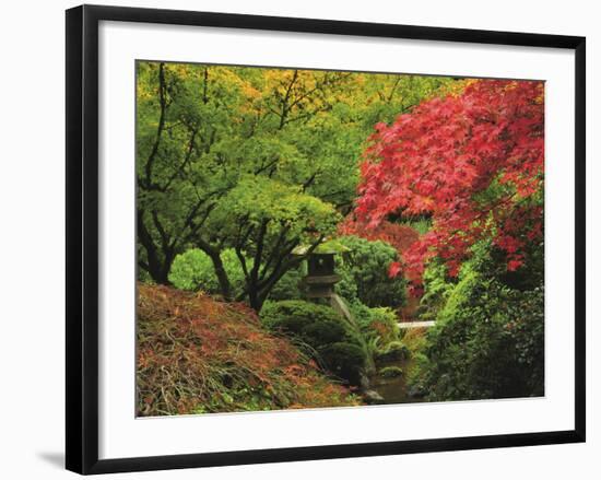 Portland Japanese Garden in Autumn, Portland, Oregon, USA-Michel Hersen-Framed Photographic Print