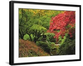 Portland Japanese Garden in Autumn, Portland, Oregon, USA-Michel Hersen-Framed Photographic Print