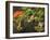 Portland Japanese Garden in Autumn, Portland, Oregon, USA-Michel Hersen-Framed Photographic Print