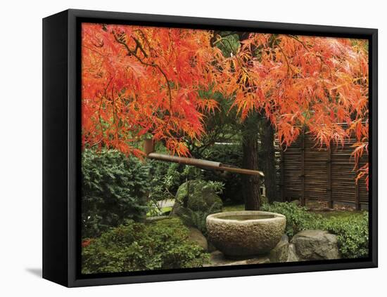 Portland Japanese Garden in Autumn, Portland, Oregon, USA,-Michel Hersen-Framed Stretched Canvas