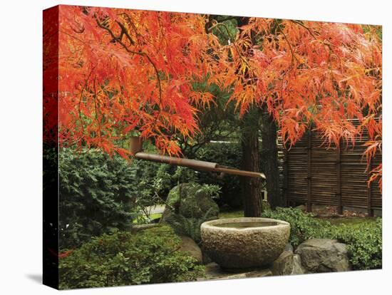 Portland Japanese Garden in Autumn, Portland, Oregon, USA,-Michel Hersen-Stretched Canvas