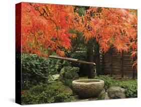 Portland Japanese Garden in Autumn, Portland, Oregon, USA,-Michel Hersen-Stretched Canvas