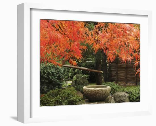 Portland Japanese Garden in Autumn, Portland, Oregon, USA,-Michel Hersen-Framed Premium Photographic Print