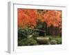 Portland Japanese Garden in Autumn, Portland, Oregon, USA,-Michel Hersen-Framed Premium Photographic Print