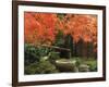 Portland Japanese Garden in Autumn, Portland, Oregon, USA,-Michel Hersen-Framed Photographic Print