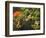 Portland Japanese Garden in Autumn, Portland, Oregon, USA-Michel Hersen-Framed Photographic Print