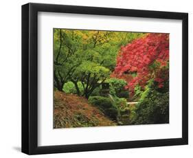 Portland Japanese Garden in Autumn, Portland, Oregon, USA-Michel Hersen-Framed Photographic Print