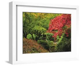 Portland Japanese Garden in Autumn, Portland, Oregon, USA-Michel Hersen-Framed Photographic Print