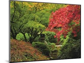 Portland Japanese Garden in Autumn, Portland, Oregon, USA-Michel Hersen-Mounted Photographic Print