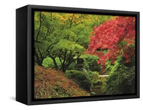 Portland Japanese Garden in Autumn, Portland, Oregon, USA-Michel Hersen-Framed Stretched Canvas