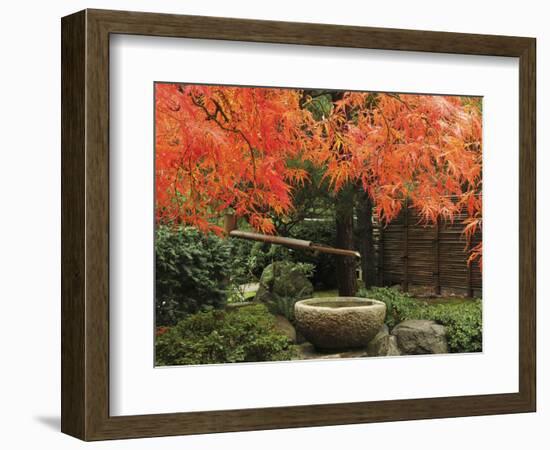 Portland Japanese Garden in Autumn, Portland, Oregon, USA,-Michel Hersen-Framed Photographic Print
