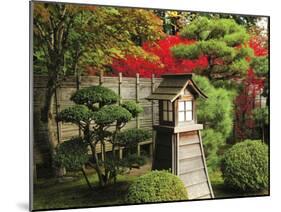 Portland Japanese Garden in Autumn with Fire Hydrant, Portland, Oregon, USA-Michel Hersen-Mounted Premium Photographic Print