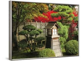 Portland Japanese Garden in Autumn with Fire Hydrant, Portland, Oregon, USA-Michel Hersen-Framed Photographic Print