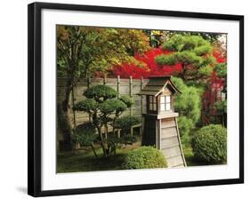 Portland Japanese Garden in Autumn with Fire Hydrant, Portland, Oregon, USA-Michel Hersen-Framed Photographic Print