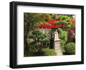 Portland Japanese Garden in Autumn with Fire Hydrant, Portland, Oregon, USA-Michel Hersen-Framed Photographic Print