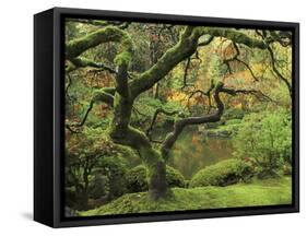 Portland Japanese Garden in Early Autumn: Portland Japanese Garden, Portland, Oregon, USA-Michel Hersen-Framed Stretched Canvas