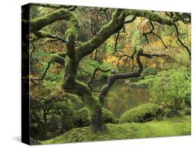 Portland Japanese Garden in Early Autumn: Portland Japanese Garden, Portland, Oregon, USA-Michel Hersen-Stretched Canvas