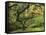 Portland Japanese Garden in Early Autumn: Portland Japanese Garden, Portland, Oregon, USA-Michel Hersen-Framed Stretched Canvas