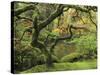 Portland Japanese Garden in Early Autumn: Portland Japanese Garden, Portland, Oregon, USA-Michel Hersen-Stretched Canvas