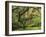 Portland Japanese Garden in Early Autumn: Portland Japanese Garden, Portland, Oregon, USA-Michel Hersen-Framed Premium Photographic Print