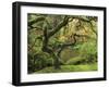 Portland Japanese Garden in Early Autumn: Portland Japanese Garden, Portland, Oregon, USA-Michel Hersen-Framed Premium Photographic Print